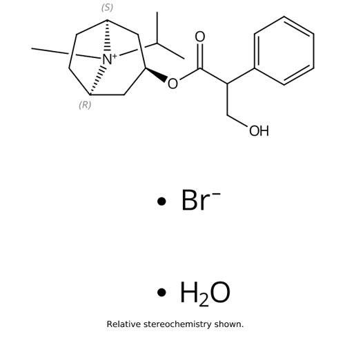 Picture of Ipratropium Bromide Monohydrate