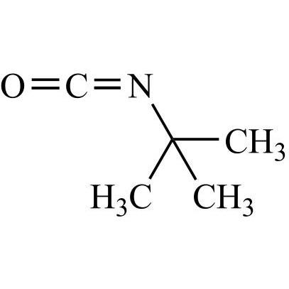 Picture of tert-Butyl Isocyanate