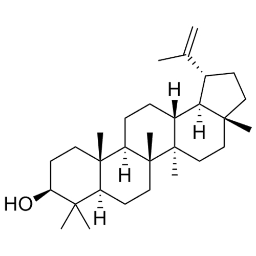Show details for Lupeol Picture of Lupeol