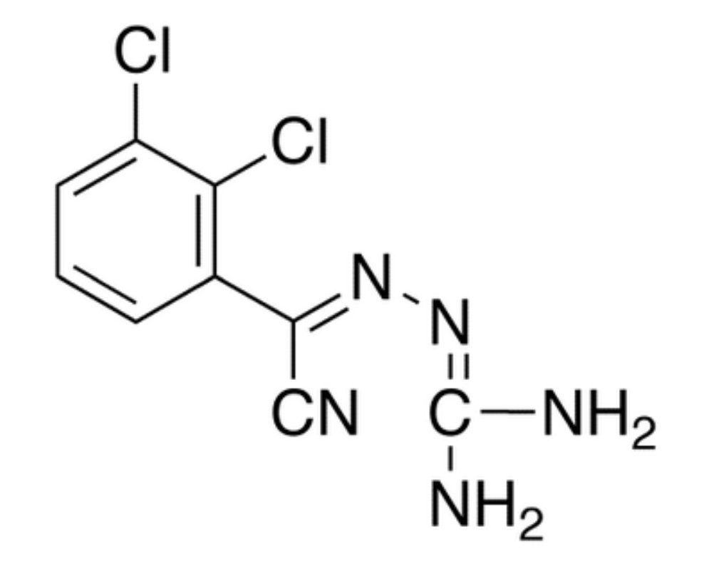 Show details for 2-(2,3-Dichlorphenyl)-2-(guanidinylimino)acetonitrile Picture of 2-(2,3-Dichlorphenyl)-2-(guanidinylimino)acetonitrile