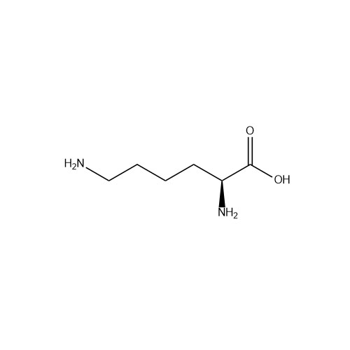 Picture of L-Lysine