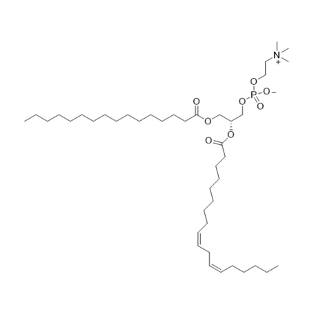 Picture of Lecithin