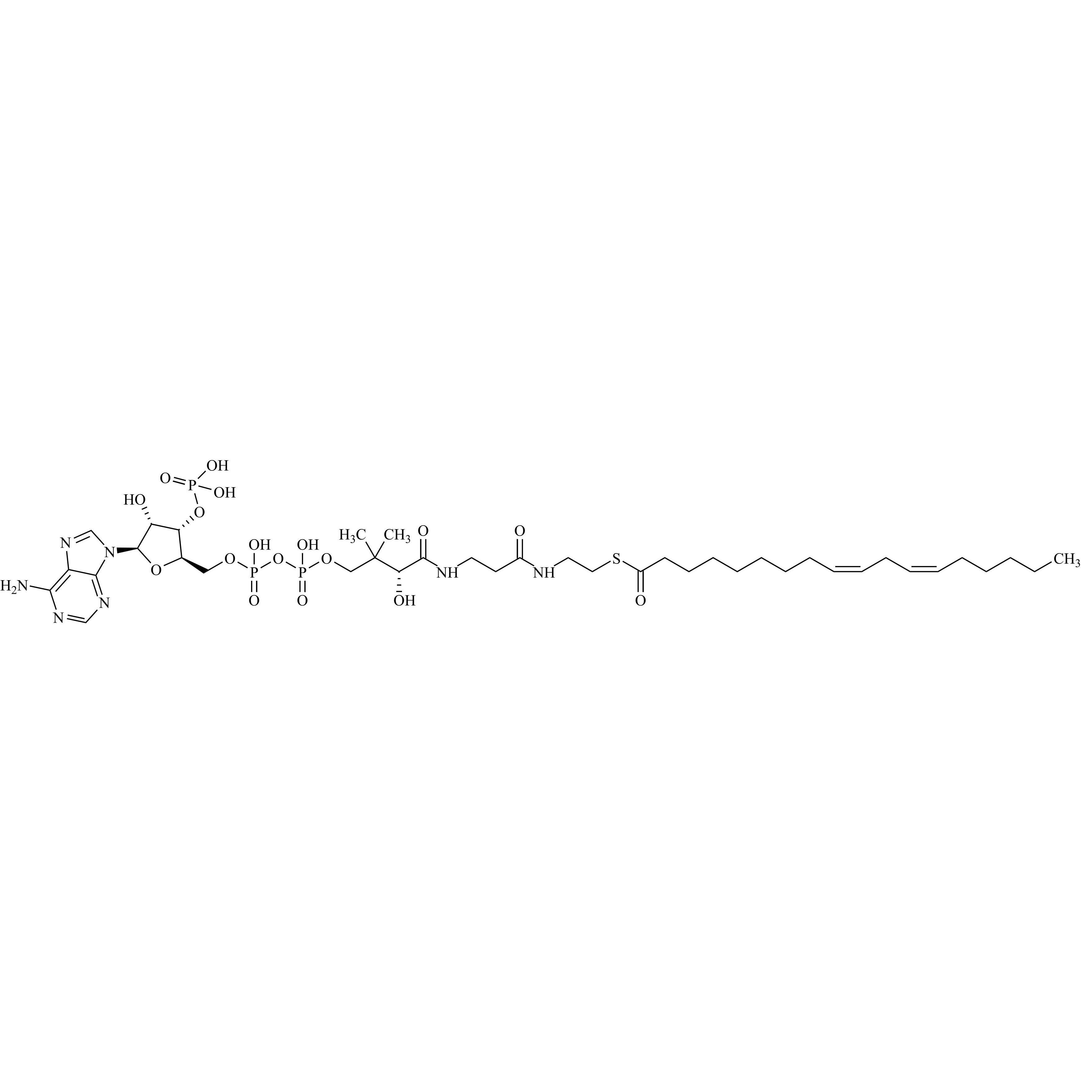 Picture of Linoleoyl Coenzyme A