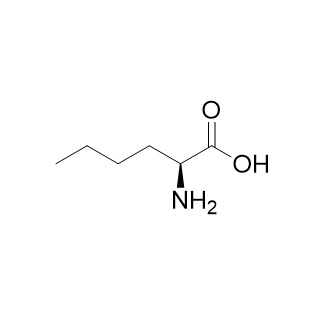 Show details for L-Norleucine Picture of L-Norleucine