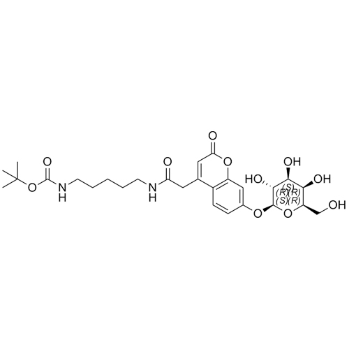 Picture of Mucopolysaccharidosis Type IV Related Compound MPS-IV-2 (GALNS-P)