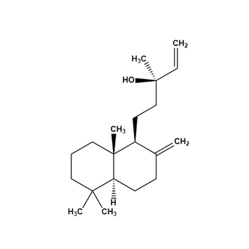Show details for Manool Picture of Manool