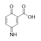 Picture of 3-Imino-6-oxocyclohexa-1,4-dienecarboxylic acid