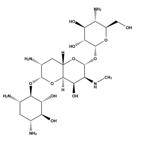 Show details for Apramycin Picture of Apramycin