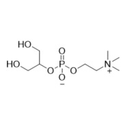 Picture of Beta-Glycerylphosphorylcholine