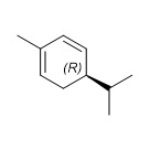 Picture of (-)-a-Phellandrene