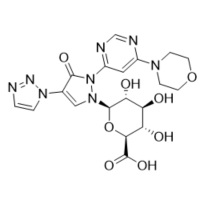 Picture of Molidustat Glucuronide