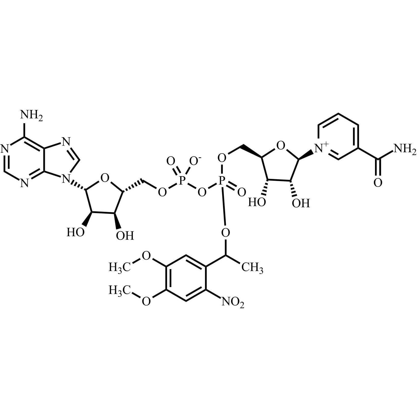 Picture of NADPH Impurity 1