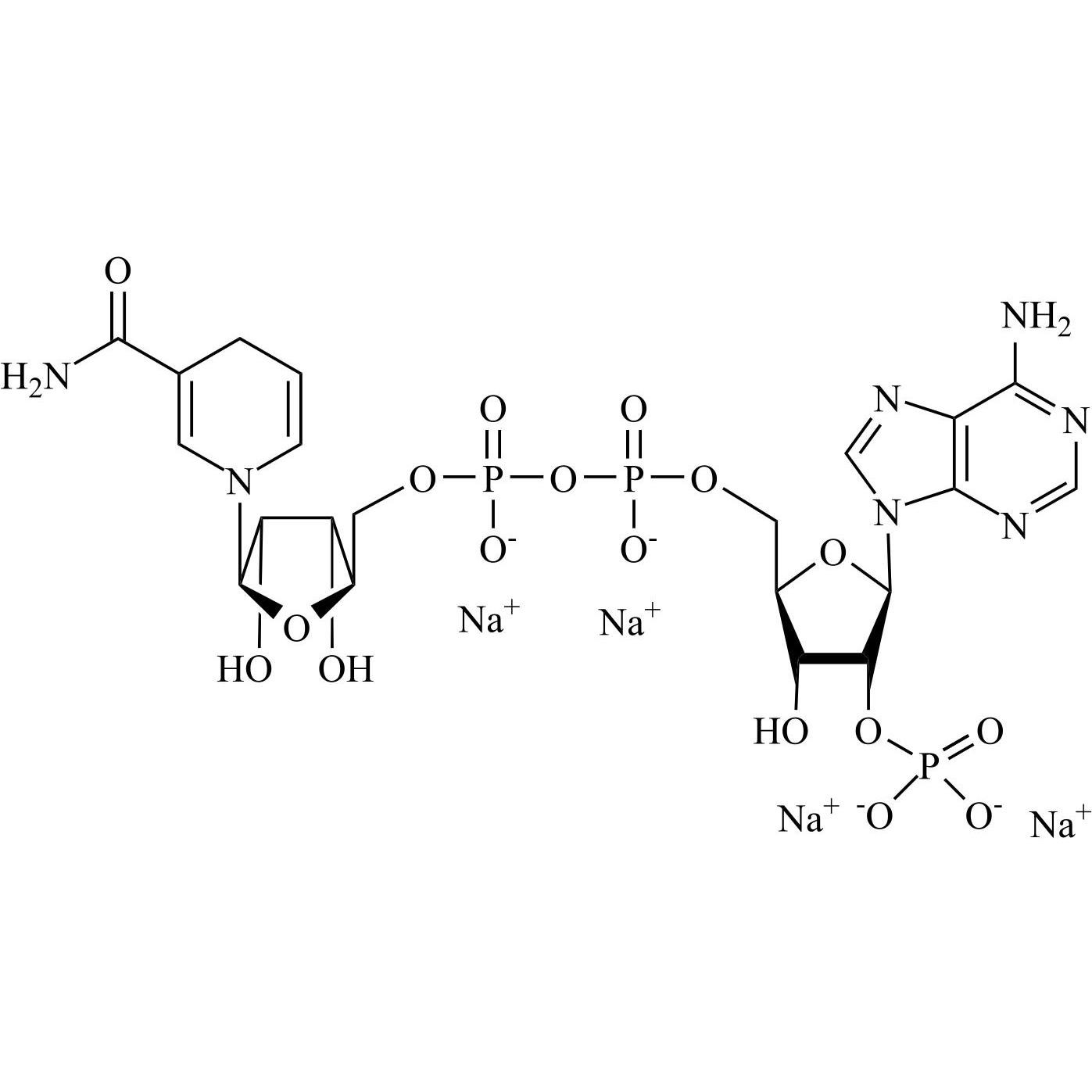Picture of NADPH Tetrasodium Salt