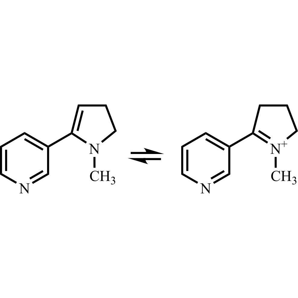 Picture of Nicotine Impurity 3