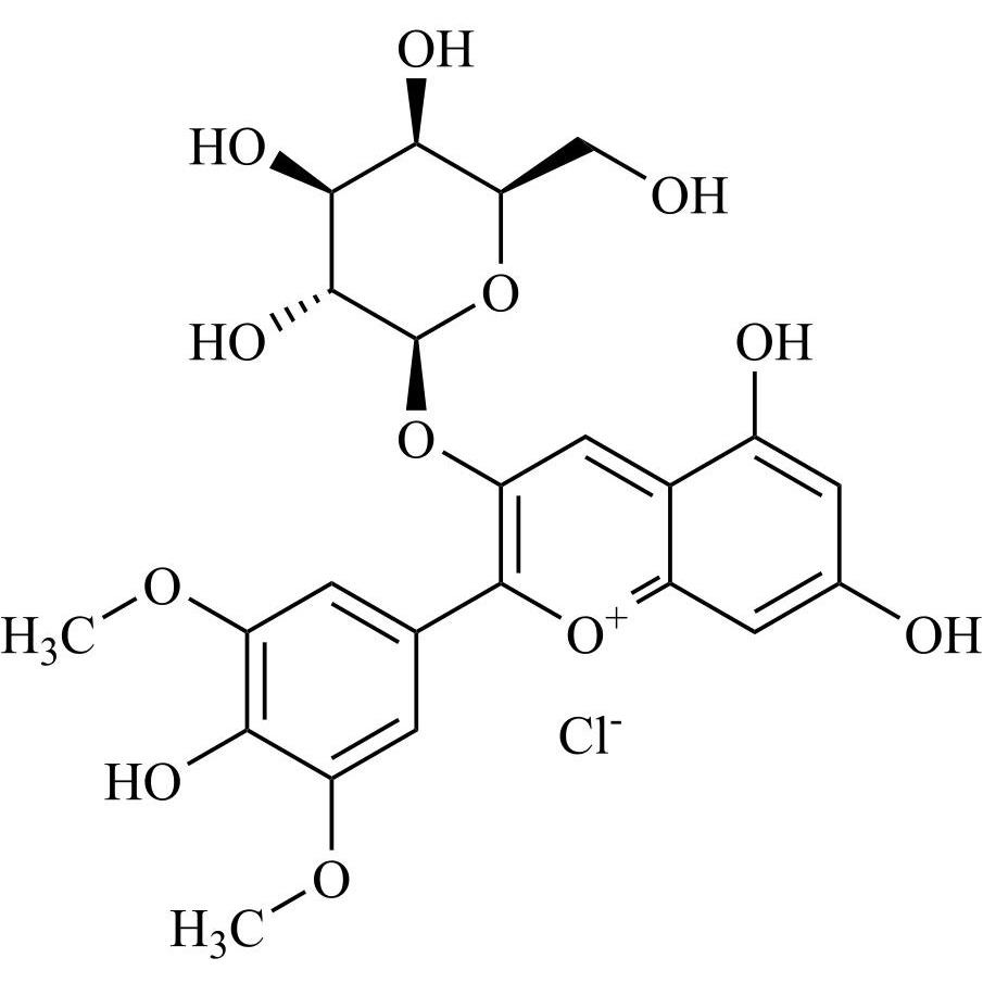 Picture of Malvidin-3-Galactoside Chloride
