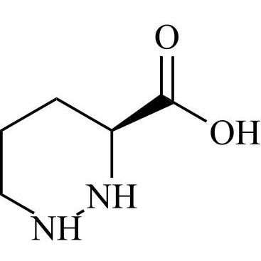 Picture of (S)-Piperazic Acid