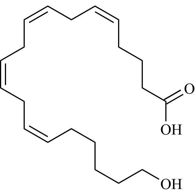 Picture of 20-Hydroxy-(5Z,8Z,11Z,14Z)-Eicosatetraenoic Acid (20-HETE)