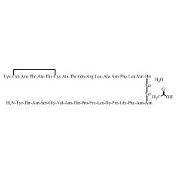 Picture of Pramlintide Acetate Hydrate
