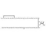 Show details for Pramlintide-d3 Trifluoroacetate Picture of Pramlintide-d3 Trifluoroacetate