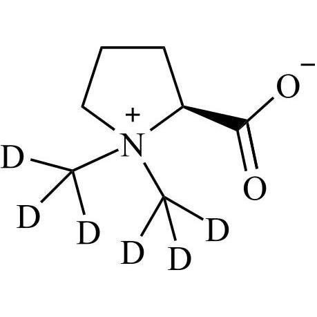 Picture of N,N-Dimethyl-L-Proline-d6 ((-)-Stachydrine-d6)