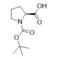 Picture of N-Boc-L-proline