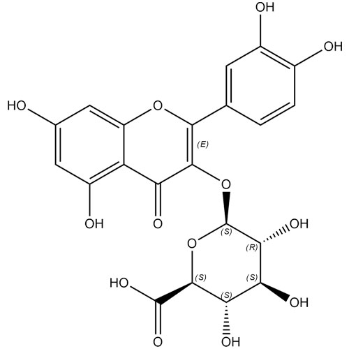 Picture of Quercetin-3-O-glucuronide