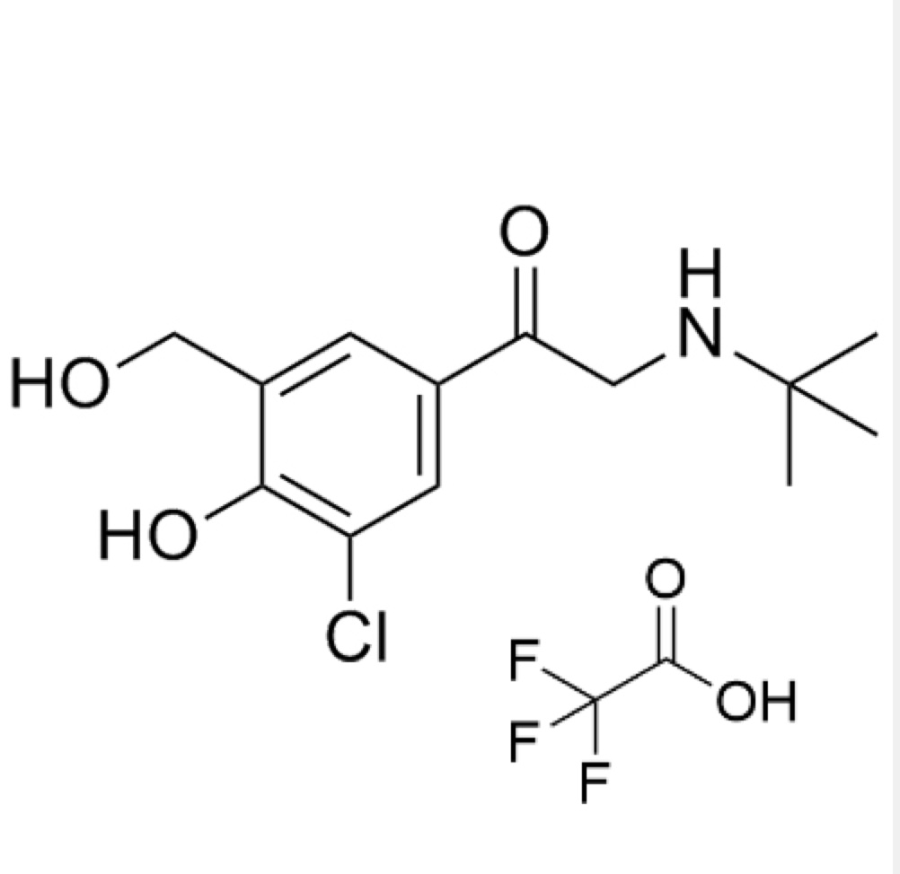 Show details for Salbutamol EP Impurity K TFA Salt Picture of Salbutamol EP Impurity K TFA Salt