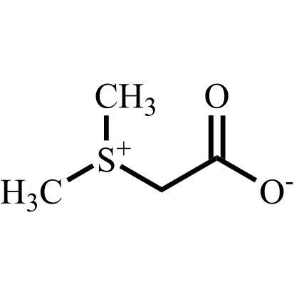Picture of Sulfobetaine