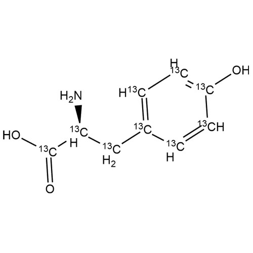 Picture of L-Tyrosine-13C9