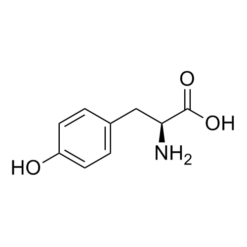 Picture of L-Tyrosine