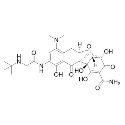 Show details for Tigecycline Tricyclic Analog Picture of Tigecycline Tricyclic Analog