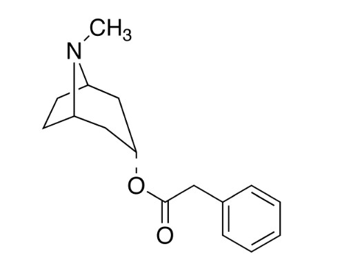 Picture of 3a-Phenylacetoxy Tropane