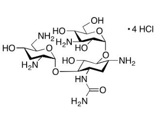 Show details for 3-N-Ureido Tobramycin Tetrahydrochloride Salt (Purity >90%) Picture of 3-N-Ureido Tobramycin Tetrahydrochloride Salt (Purity >90%)