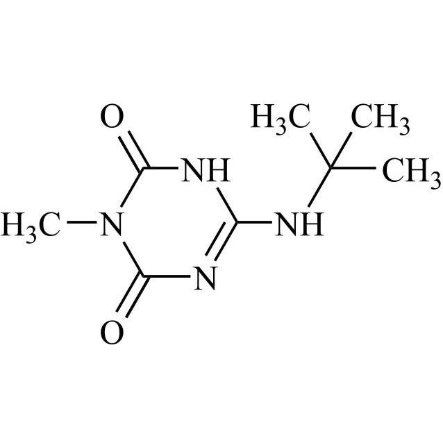 Picture of Terbuthylazine Impurity 2