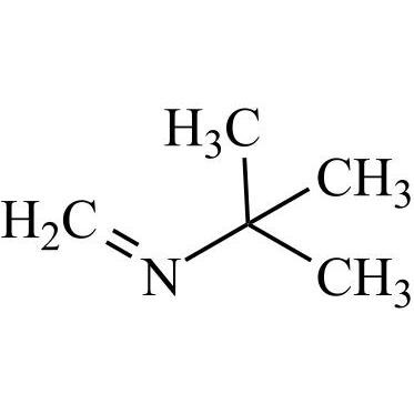 Picture of N-(2-Methyl-2-propanyl)methanimine