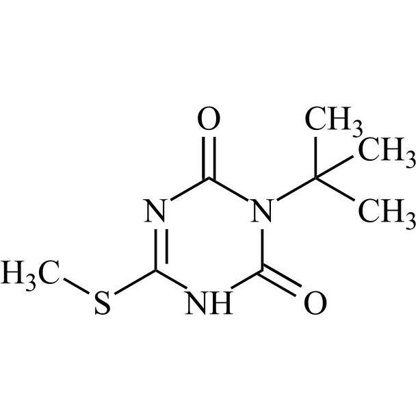 Picture of Triazine Related Compound 2