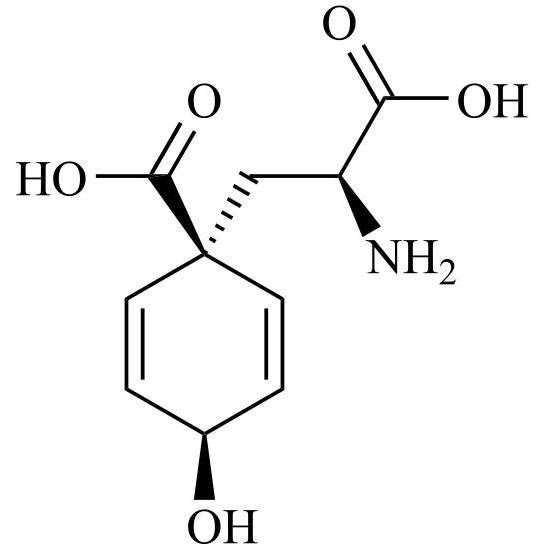 Picture of Tyrosine Impurity 15