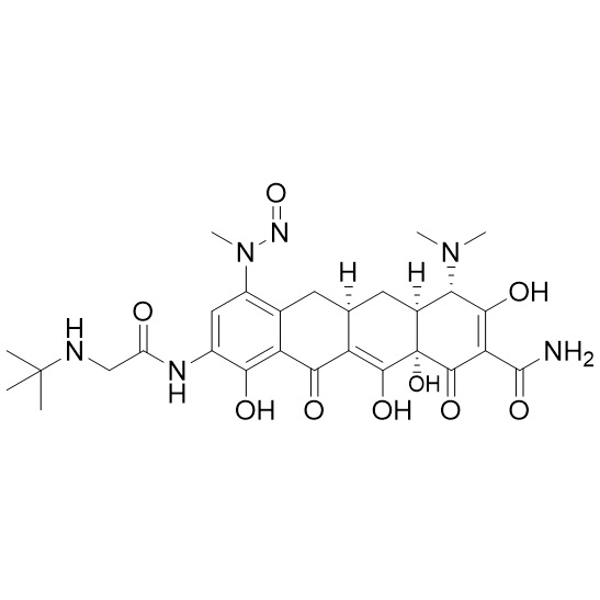 Show details for N-Nitroso Desmethyl Tigecycline Impurity 2 Picture of N-Nitroso Desmethyl Tigecycline Impurity 2