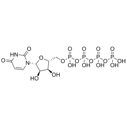 Show details for Uridine 5'-Tetraphosphate Picture of Uridine 5'-Tetraphosphate