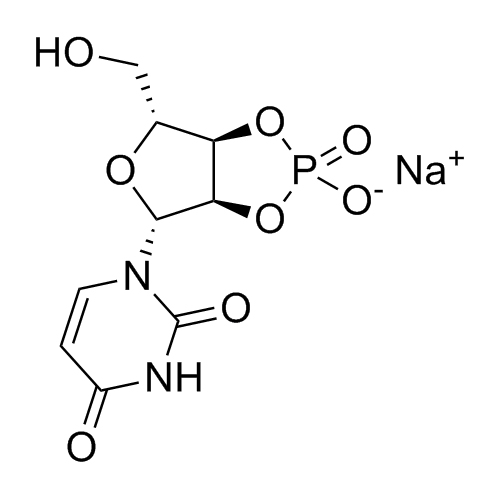 Picture of Uridine-2’,3’-cyclic Monophosphate Sodium Salt