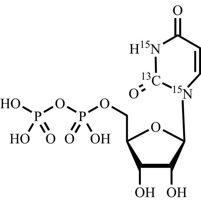 Show details for Uridine 5'-Diphosphate-13C-15N2 Picture of Uridine 5'-Diphosphate-13C-15N2