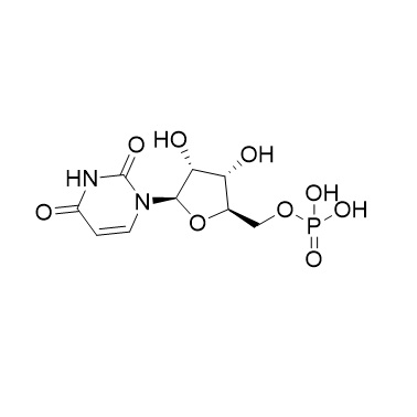 Show details for Uridine 5’-Monophosphate Picture of Uridine 5’-Monophosphate