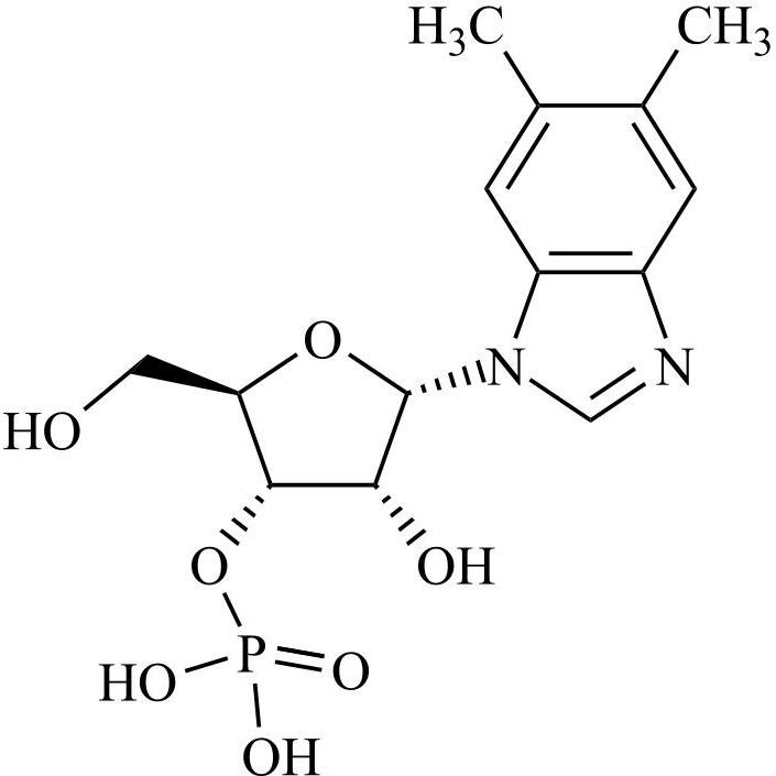 Show details for Methylcobalamin Impurity 2 Picture of Methylcobalamin Impurity 2