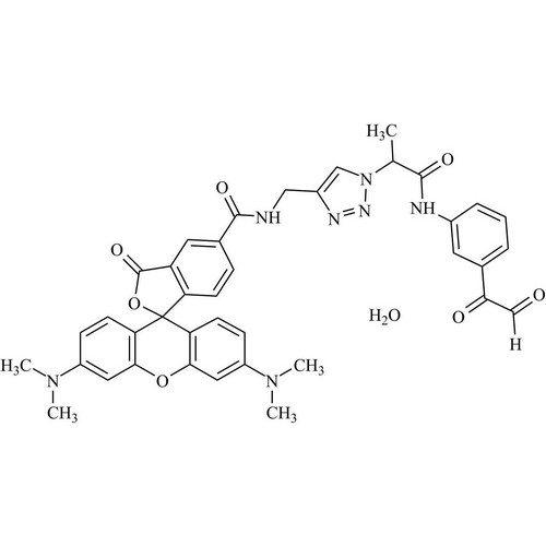 Citrulline-Specific Probe-Rhodamine
